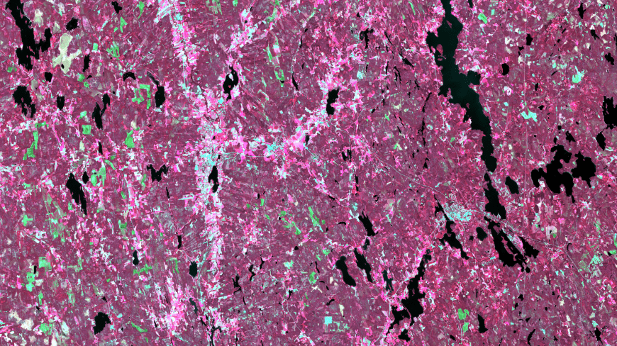 use case 1: forest clear cutting activity using Sentinel-1 data